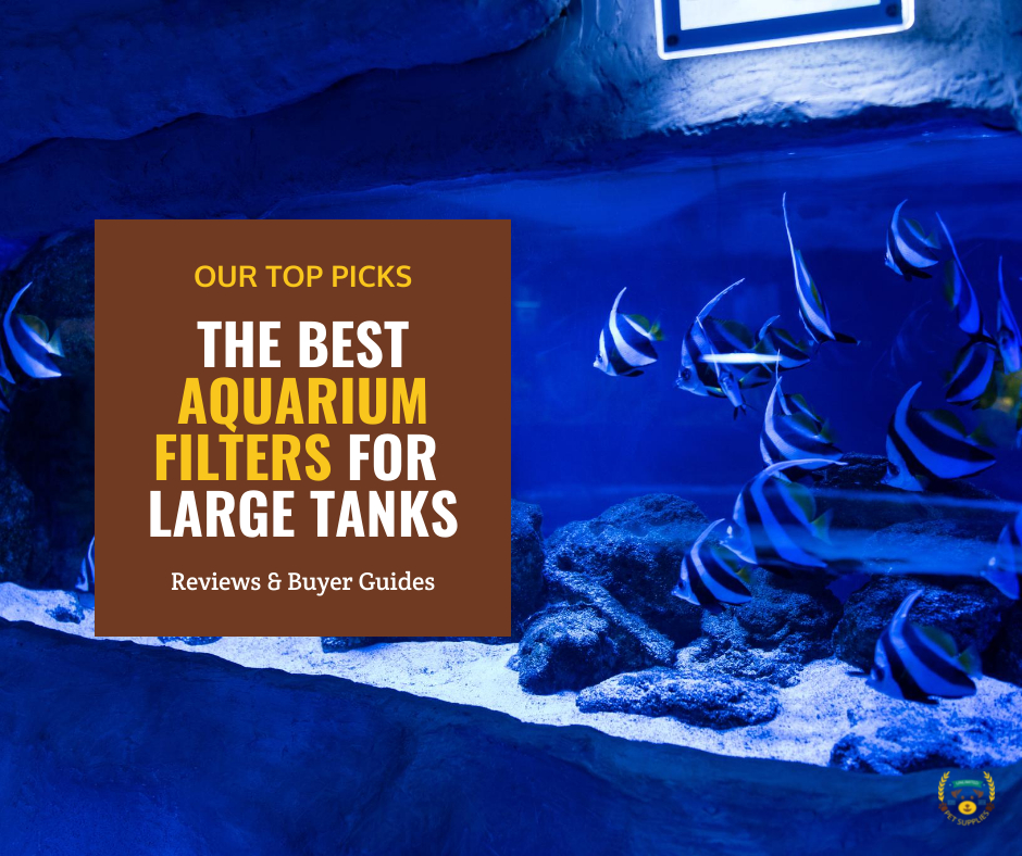 10 Best Aquarium Filters for Large Tanks | 2026 Reviews