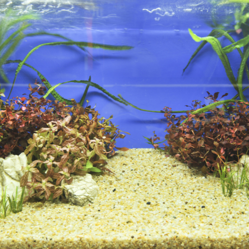 aquarium decor