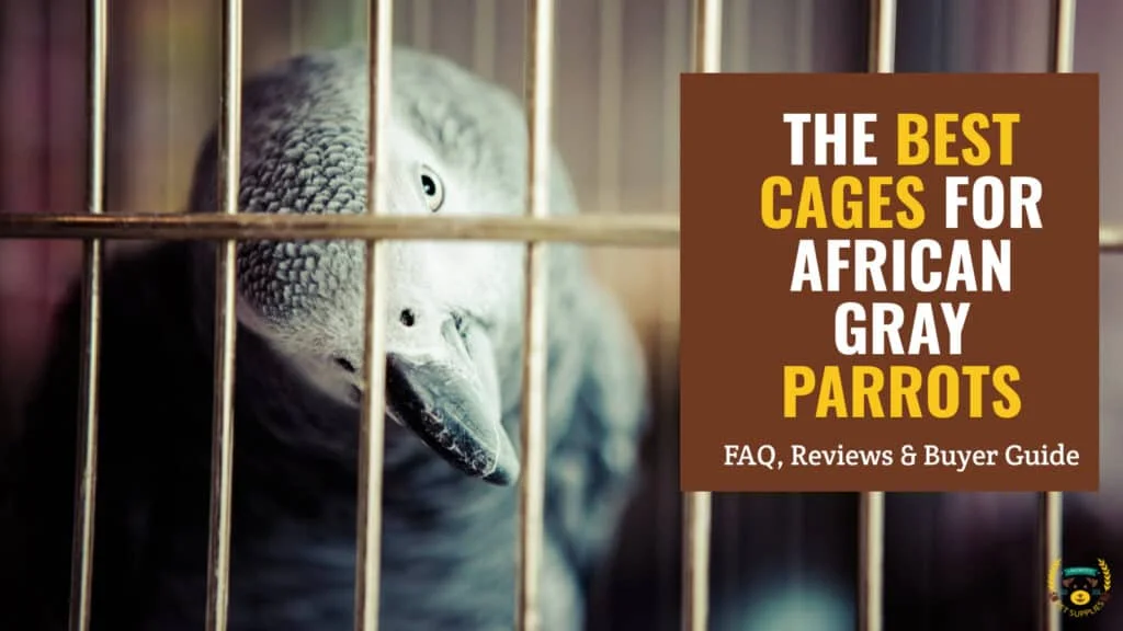 The 11 Best Cages for African Grey Parrots: Reviews & Buyer Guide