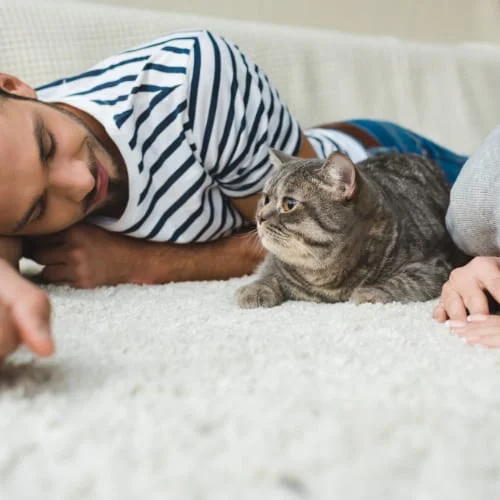 cat with its owner