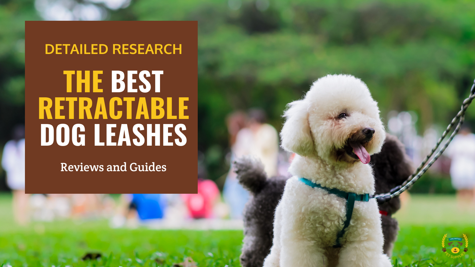Picture of The 10 Best Retractable Dog Leashes: 2025 Reviews