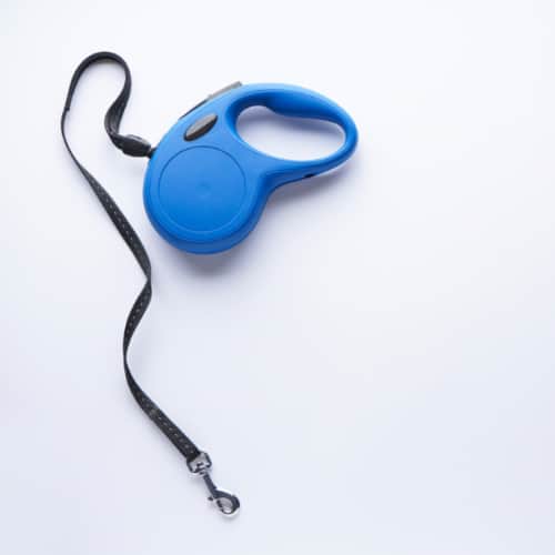 dog leash attachment