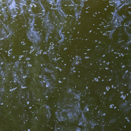 green water