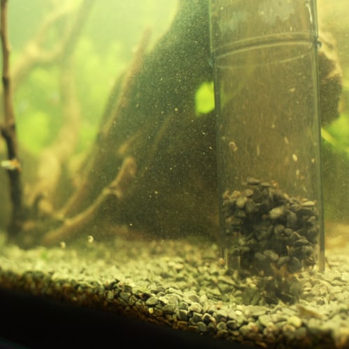 poor filtration