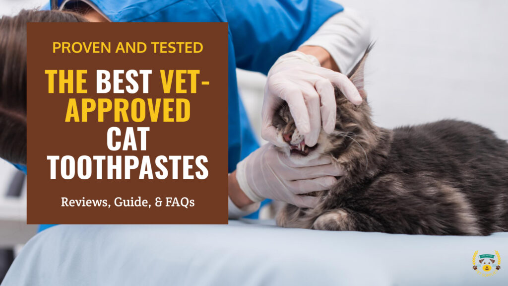 8 Best Vet Approved Cat Toothpastes of 2024