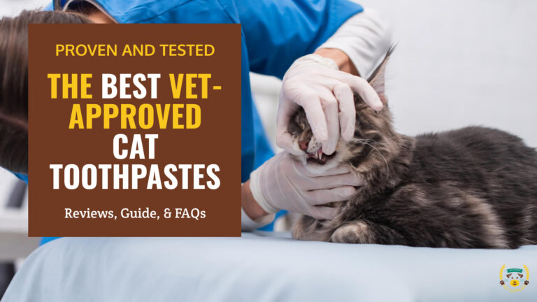 best vet approved cat toothpastes