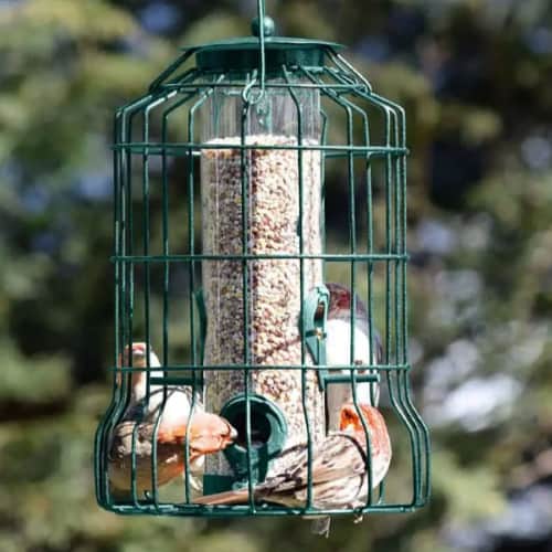 gray bunny caged tube bird feeder
