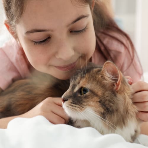 cat bonds with human