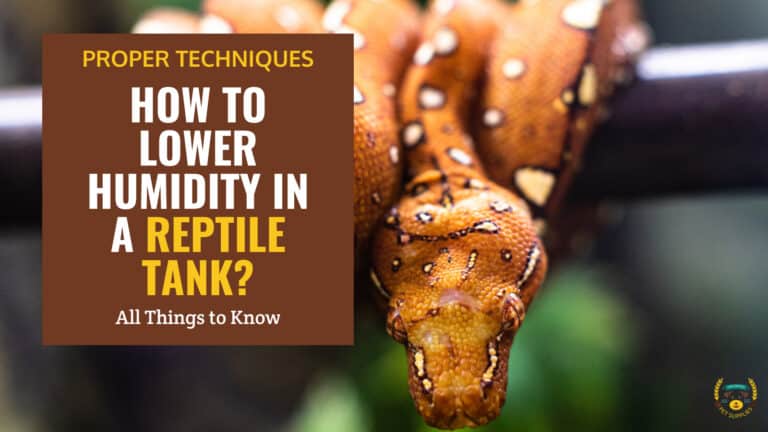 how to lower humidity in reptile tank