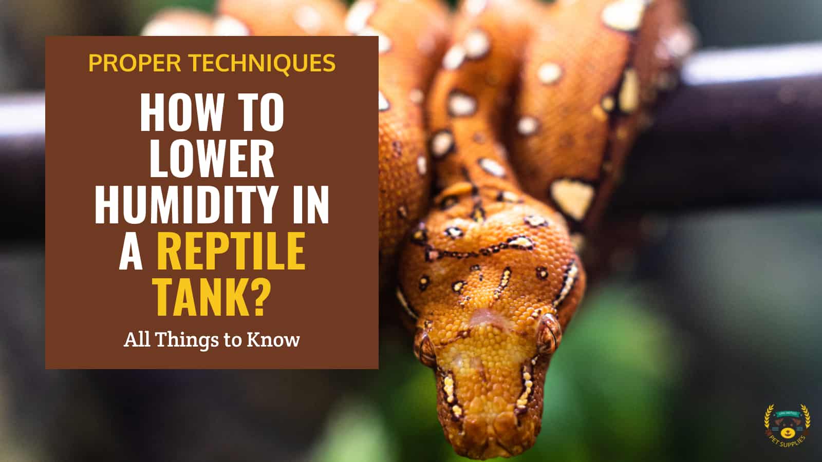 How To Lower Humidity In A Reptile Tank Proper Techniques