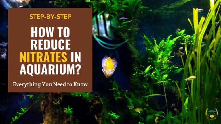 how to reduce nitrates in an aquarium