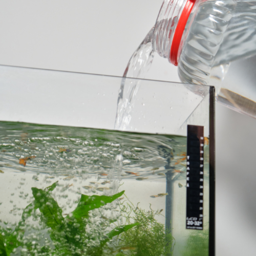 aquarium water change