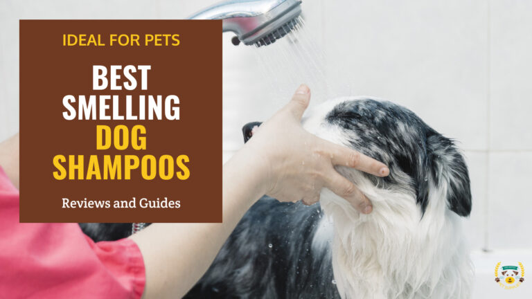 best smelling dog shampoos