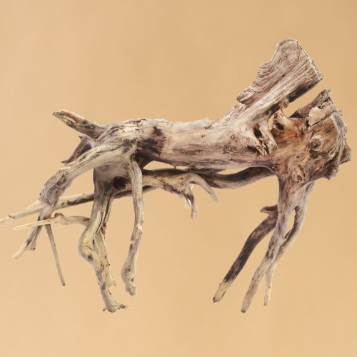 driftwood