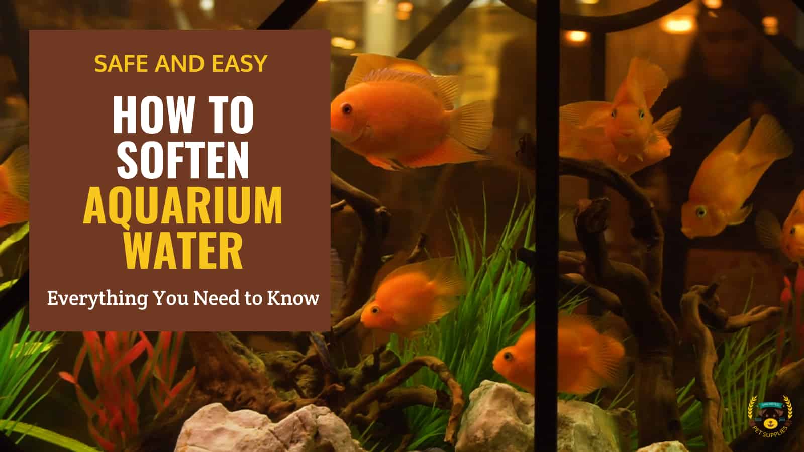 How To Soften Aquarium Water 3 Safe and Easy Ways