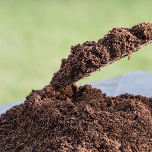 peat moss