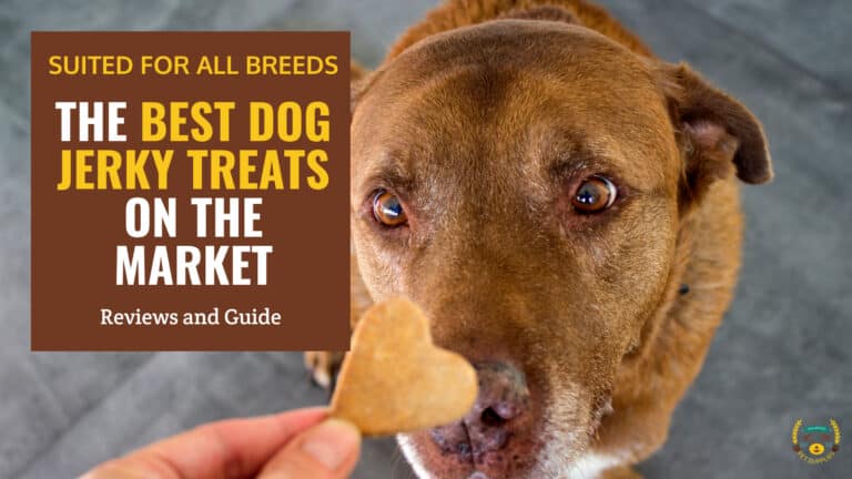 best dog jerky treats