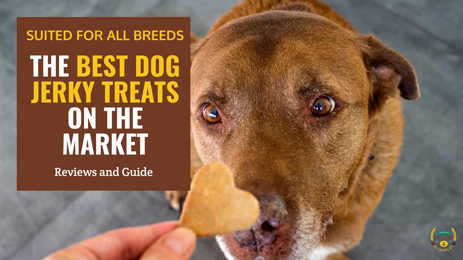 11 Best Dog Jerky Treats As Of 2024 Reviews & Guide