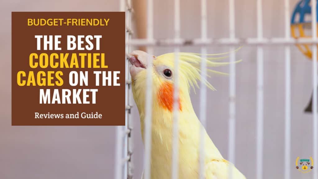11 Best Cockatiel Cages - Reviews & Guide