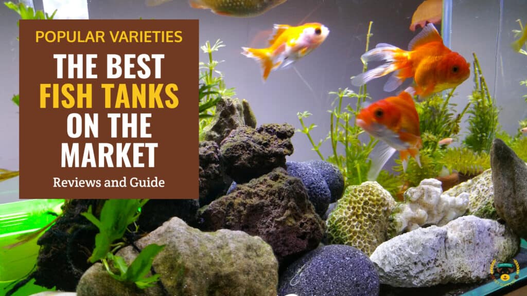 10 Best Fish Tanks of 2024 - Aquarium Brands Reviews & Guide