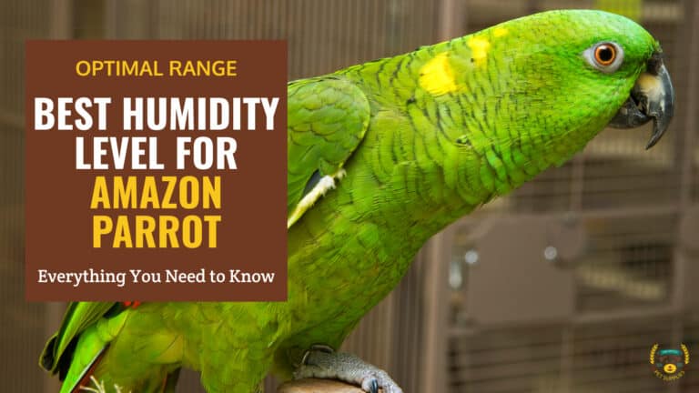 what is the best humidity level for amazon parrot