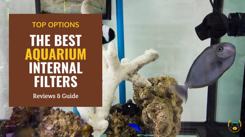 10 Best Aquarium Internal Filters - Reviews & Guide