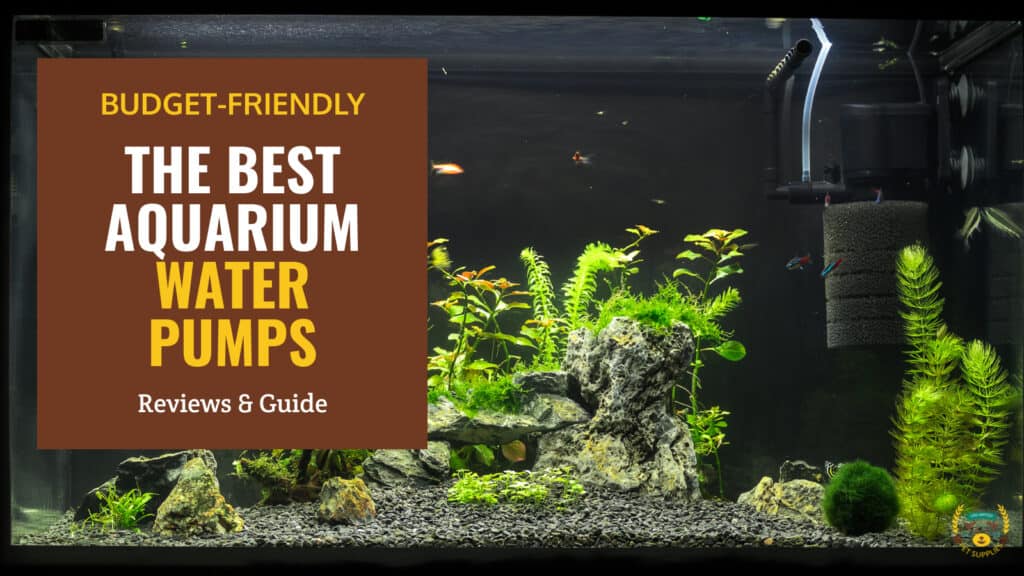 10 Best Aquarium Water Pumps - Reviews & Guide