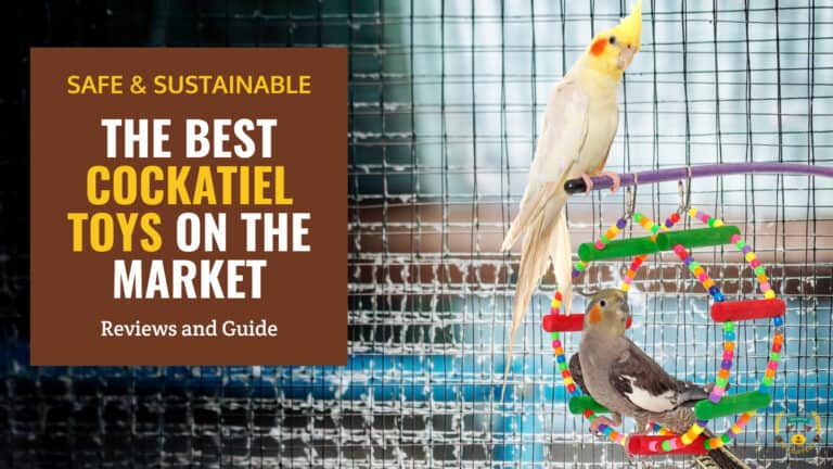 best cockatiel toys