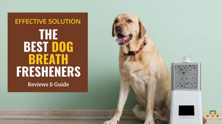 best dog breath fresheners