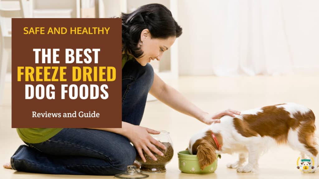 10 Best Freeze Dried Dog Foods | Reviews & Guide