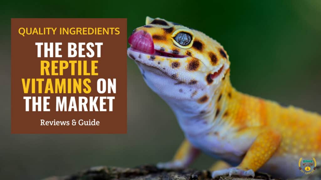10 Best Reptile Vitamins - Reviews & Guide