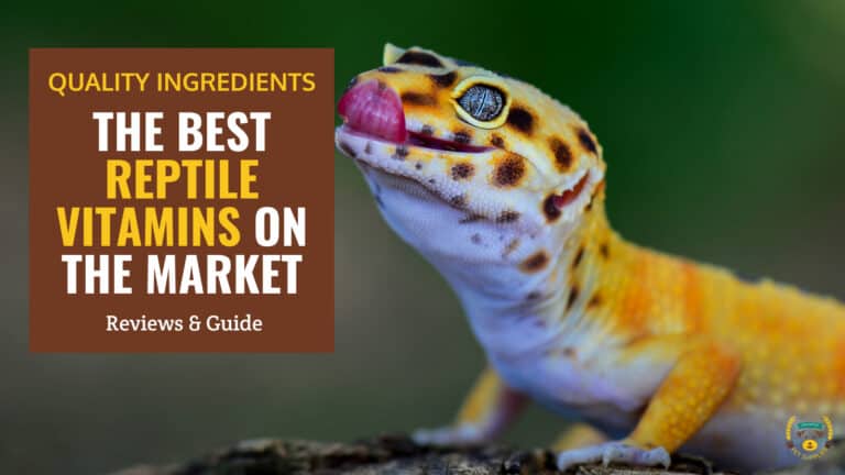 best reptile vitamins