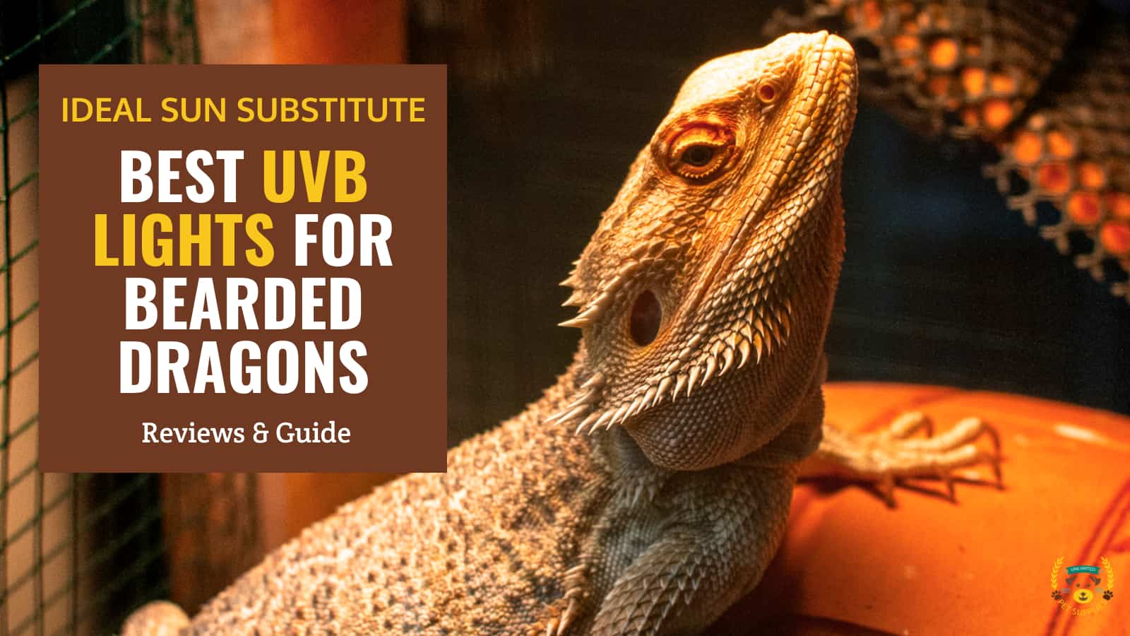 10 Best UVB Lights for Bearded Dragons Reviews & Guide